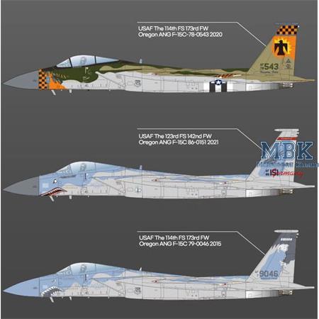 MDD F-15C Eagle "Medal of Honor 75th Anniversary"