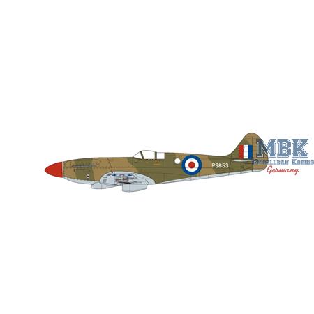 Supermarine Spitfire PR. XIX