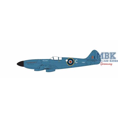 Supermarine Spitfire PR. XIX
