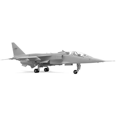 SEPECAT Jaguar T.2 & T.4