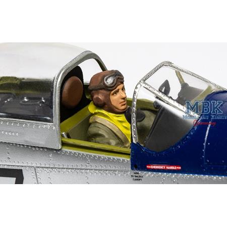 North American P-51D Mustang