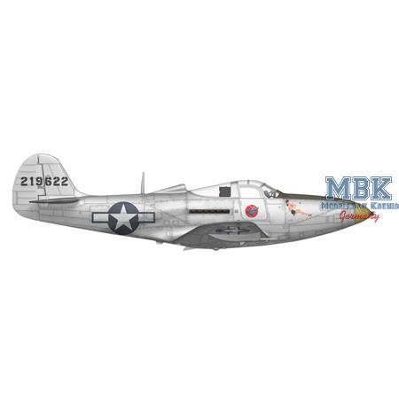 Bell P-39 Airacobra RECON 1/48