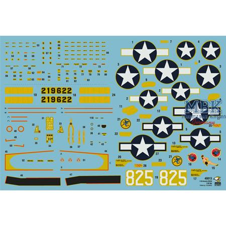 Bell P-39 Airacobra RECON 1/48