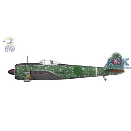 Nakajima Ki-43 II Hayabusa - Foreign Services