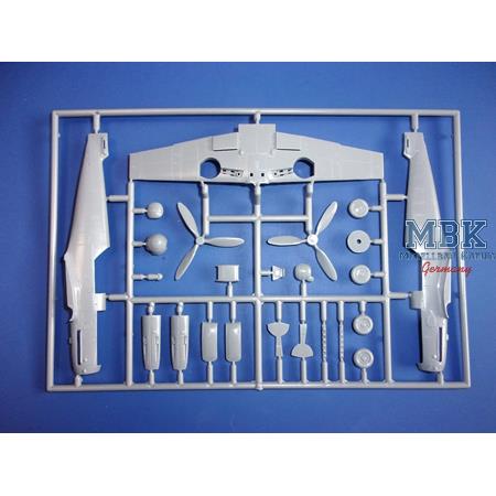 Messerschmitt Bf 109G-6 „Danubian users“