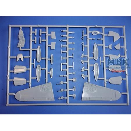 Messerschmitt Bf 109G-6 „Danubian users“