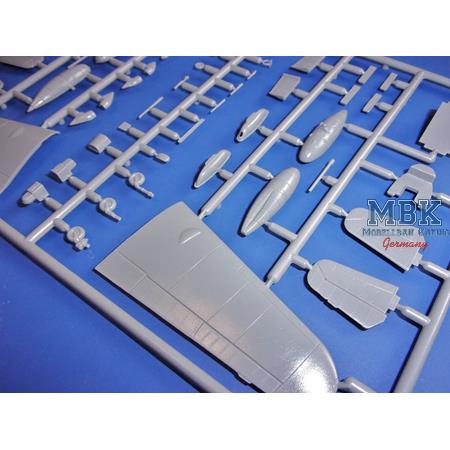 Messerschmitt Bf 109G-6 „Danubian users“