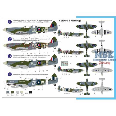 Supermarine Spitfire Tr. 9 „Air Show“