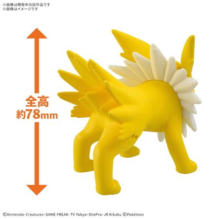 #26 Jolteon / Blitza Pokemon