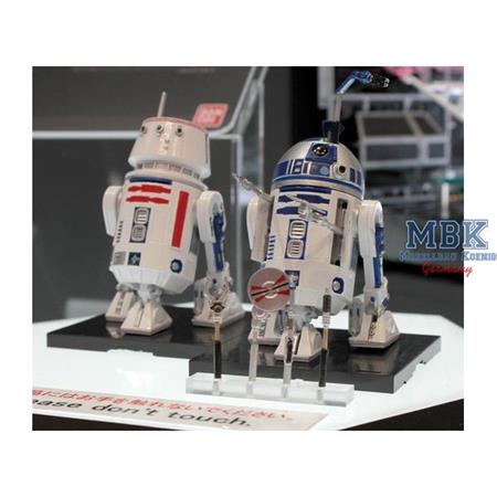 R2-D2 & R5-D4