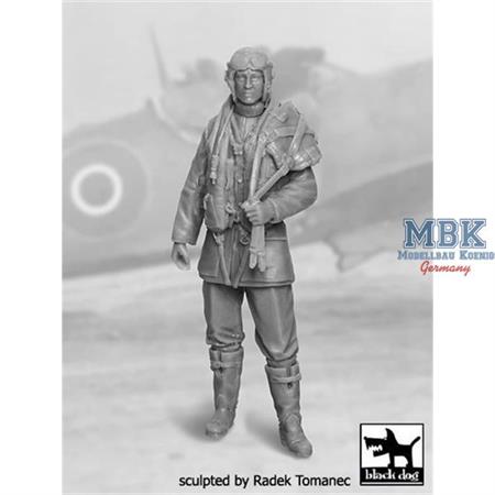 RAF Fighter Pilot 1940-1945 No. 1
