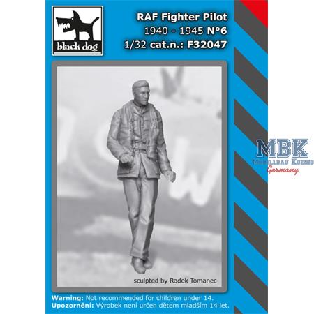 RAF Fighter Pilot N°6