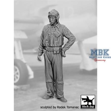 US Navy Pilot 1940-1945  No. 2
