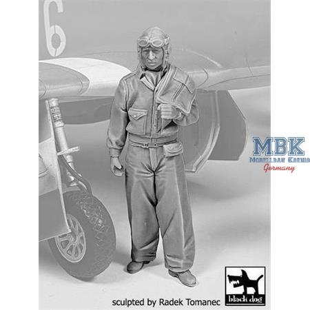 USAAF Fighter Pilot 1940-45  N° 3  1:32