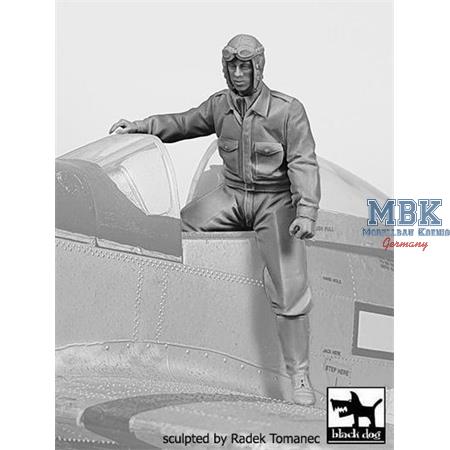 USAAF Fighter Pilot 1940-45  N° 4  1:32