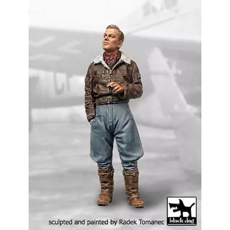 German fighter pilot WWII (1:32)