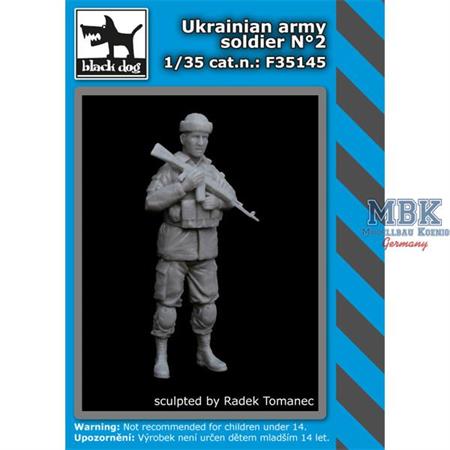 Ukrainian Army Soldier No. II