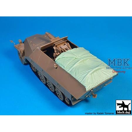 Sd.Kfz 251/9 Ausf. D Canvas