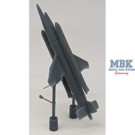 AA Missile Henschel HS117 Schmetterling (1:72)