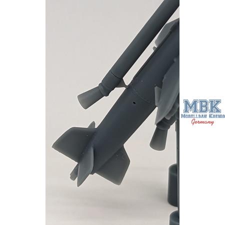 AA Missile Henschel HS117 Schmetterling (1:72)