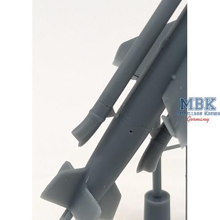 AA Missile Henschel HS117 Schmetterling (1:72)