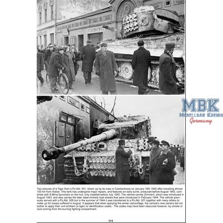 Camouflage and Markings of the Panzerwaffe