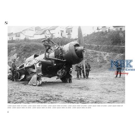 Broken Wings: Captured & Wrecked Aircraft