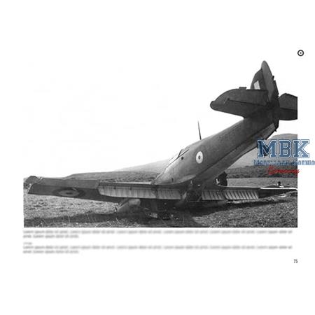 Broken Wings: Captured & Wrecked Aircraft