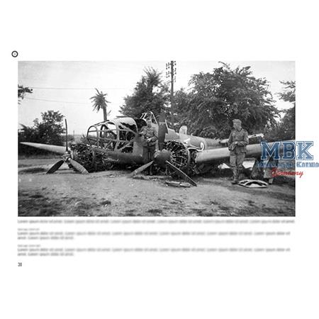 Broken Wings: Captured & Wrecked Aircraft
