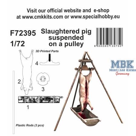 Slaughtered pig suspended on a pulley 1/72