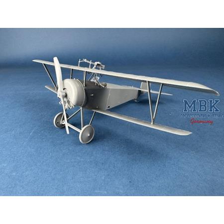 Macchi Nieuport XI Italian Service