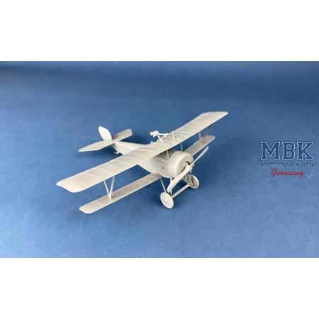 Macchi Nieuport XI Italian Service