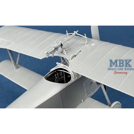 Macchi Nieuport XI Italian Service