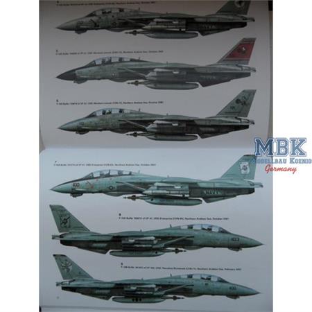 F-14 Tomcat Units of Op. Enduring Freedom