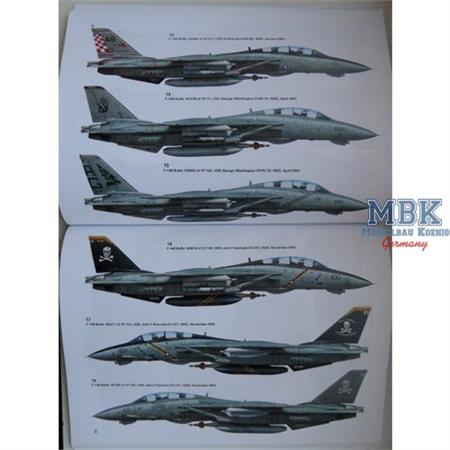 USN F-14 Tomcat Units of Op. Iraqi Freedom
