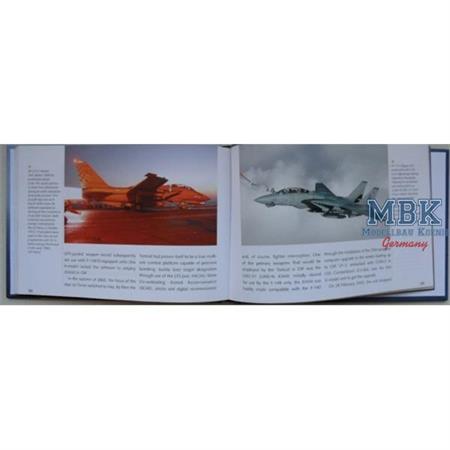 Tomcat Story