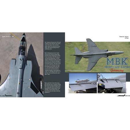 Duke Hawkins: Sepecat Jaguar