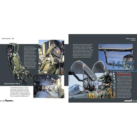 Duke Hawkins: Sepecat Jaguar