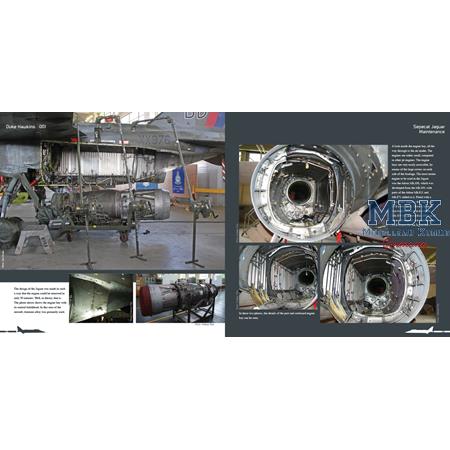 Duke Hawkins: Sepecat Jaguar