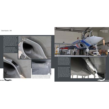 Duke Hawkins: Dassault Rafale