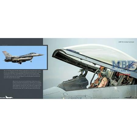 Duke Hawkins: Ode to the Falcon - 50 Years F-16