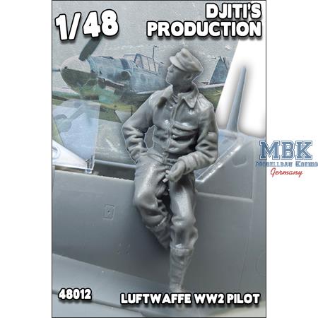 Luftwaffe WW2 Pilot