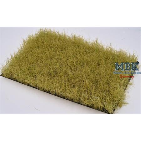 Herbstrasen / Autumn meadow 36mm high