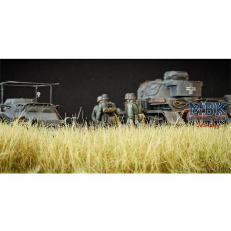 Herbstrasen / Autumn meadow 36mm high