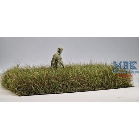 Herbst Gras DIN A6 12-36mm