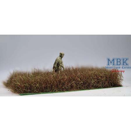 Winter Gras DIN A6 12-36mm