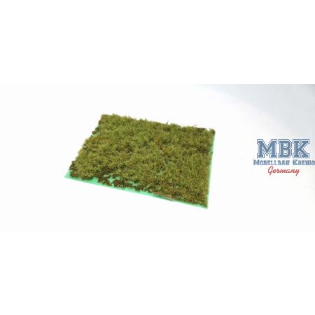 Winterfläche grün DIN A6