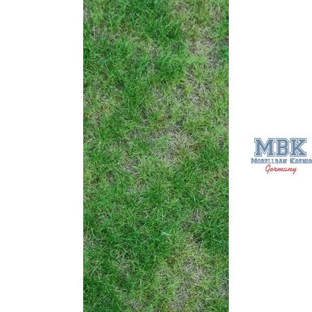 Frühlingsvollfläche DIN A4