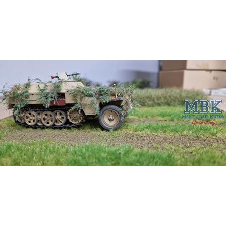 Tarnzweige Waldkiefer grün