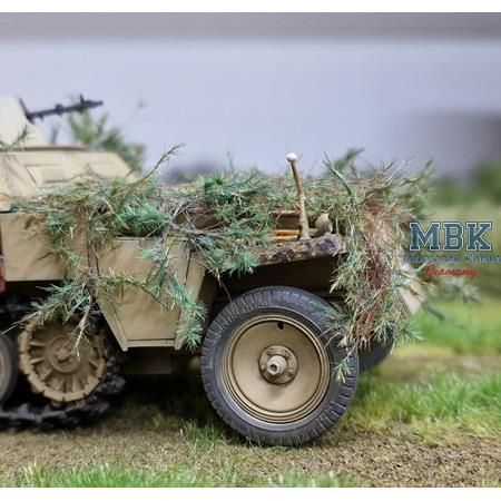 Tarnzweige Waldkiefer grün